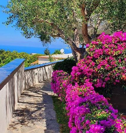 Appartamenti Luongo Forio di Ischia Exterior foto