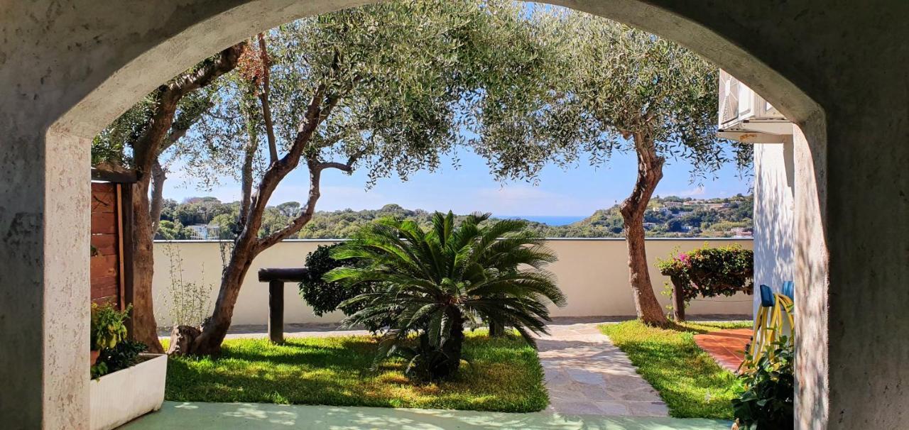 Appartamenti Luongo Forio di Ischia Exterior foto
