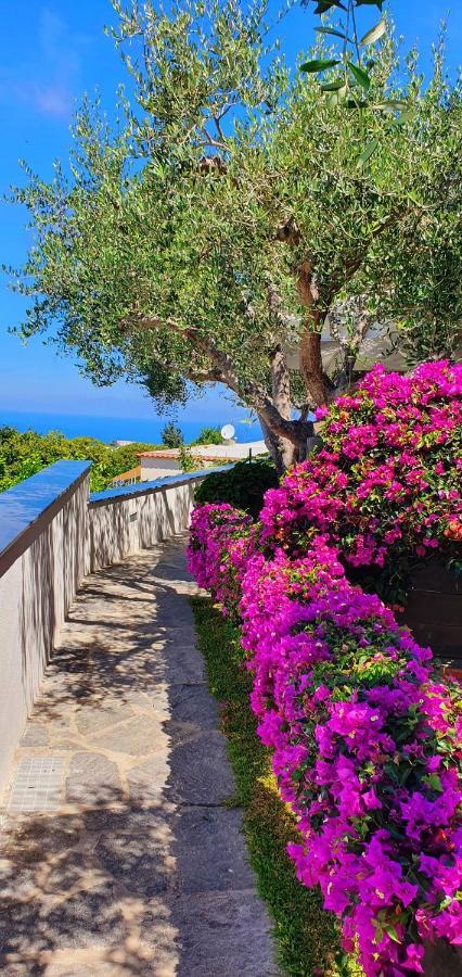 Appartamenti Luongo Forio di Ischia Exterior foto