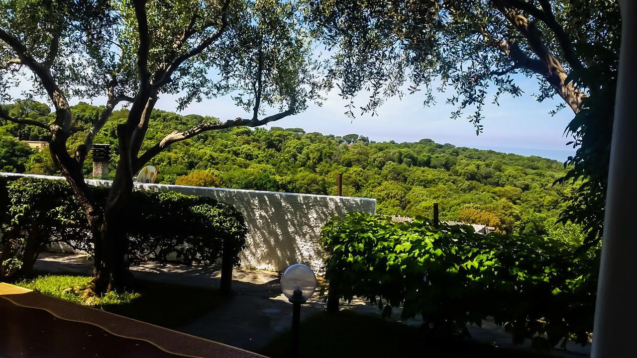 Appartamenti Luongo Forio di Ischia Exterior foto