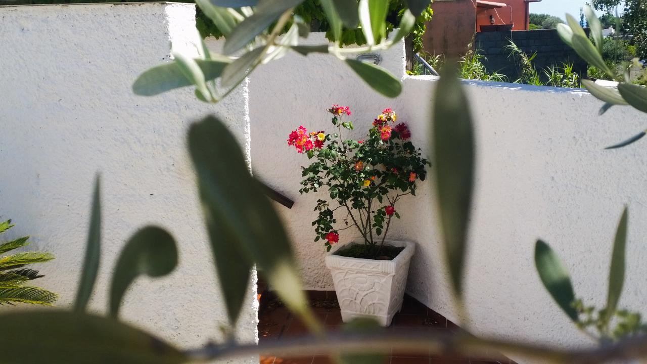 Appartamenti Luongo Forio di Ischia Exterior foto