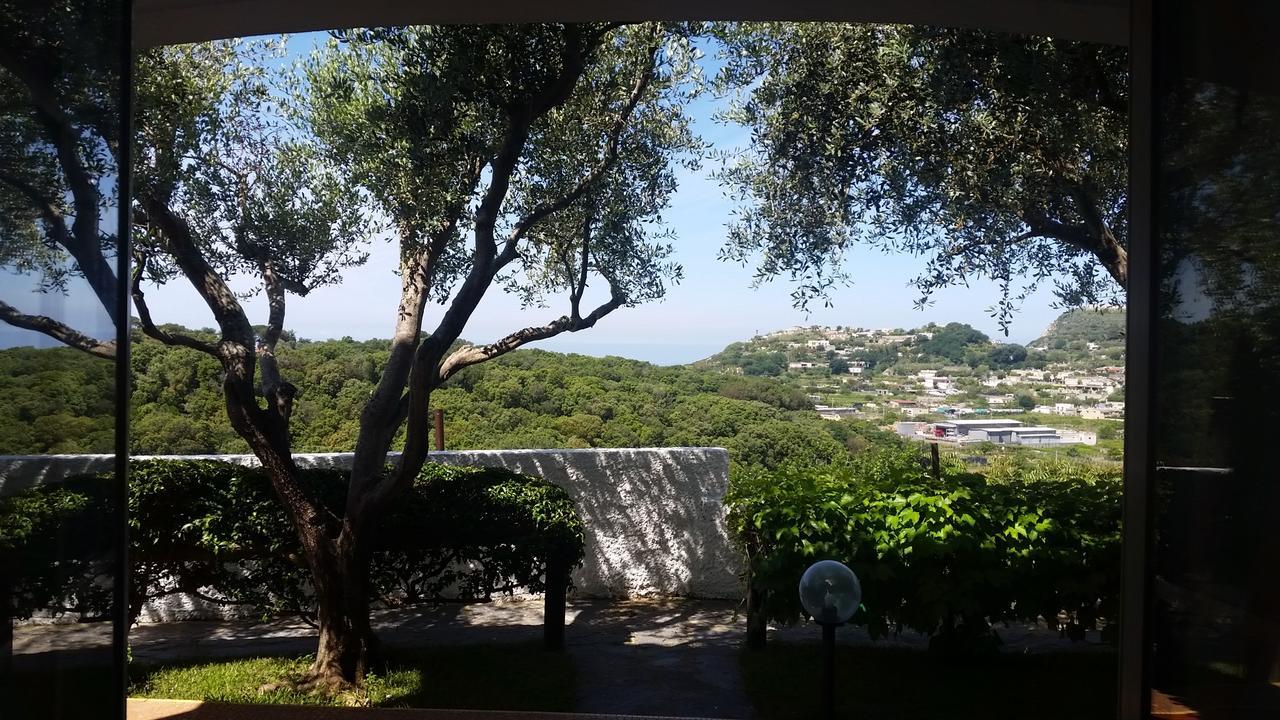 Appartamenti Luongo Forio di Ischia Exterior foto