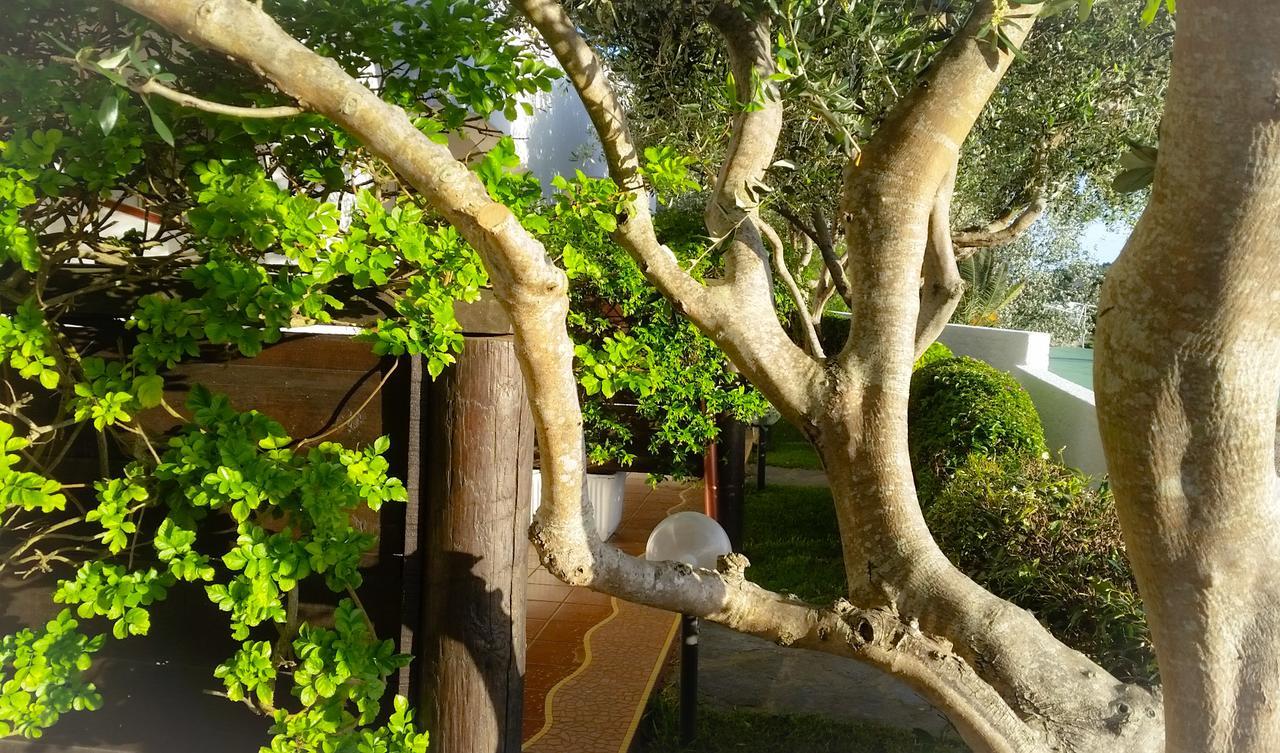 Appartamenti Luongo Forio di Ischia Exterior foto