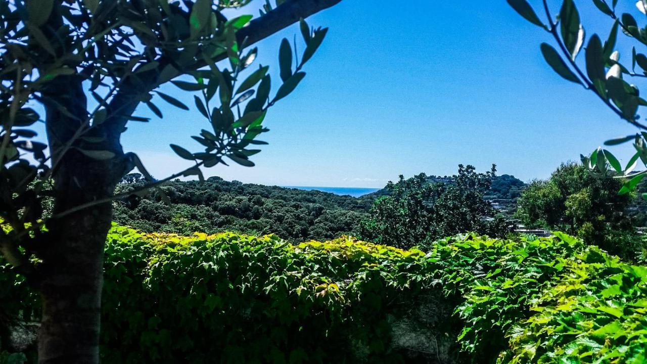Appartamenti Luongo Forio di Ischia Exterior foto