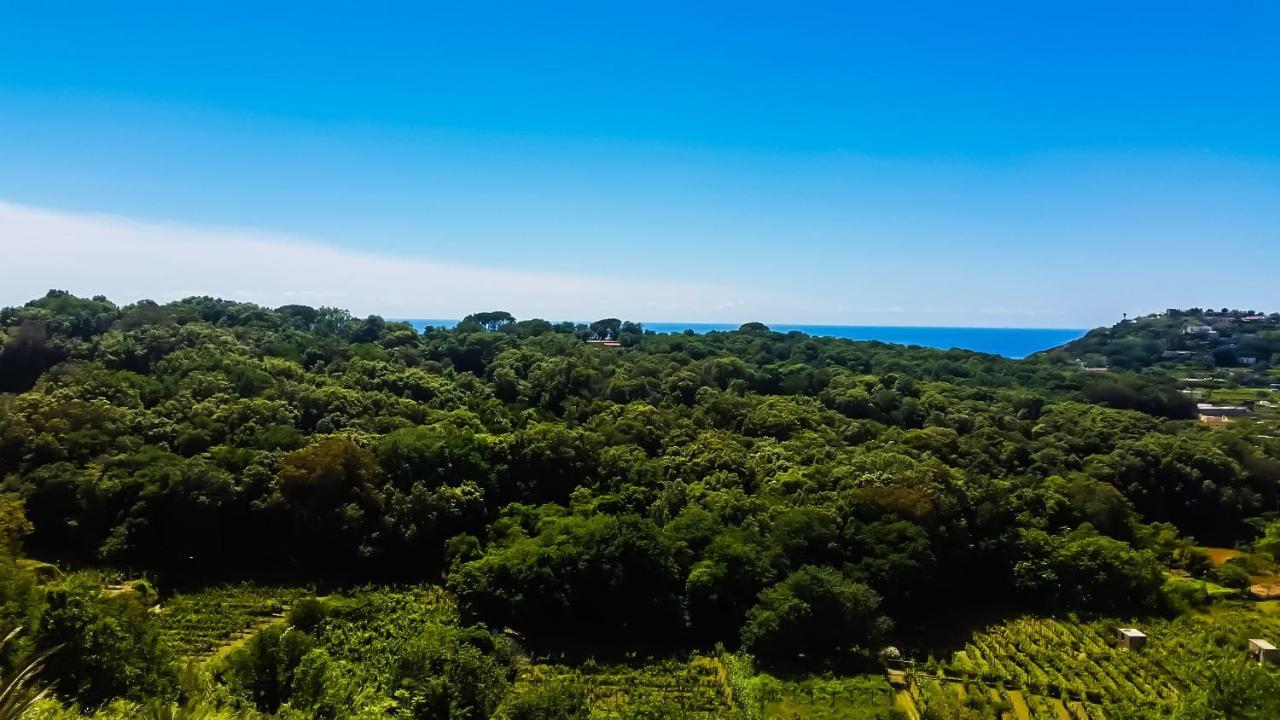 Appartamenti Luongo Forio di Ischia Exterior foto