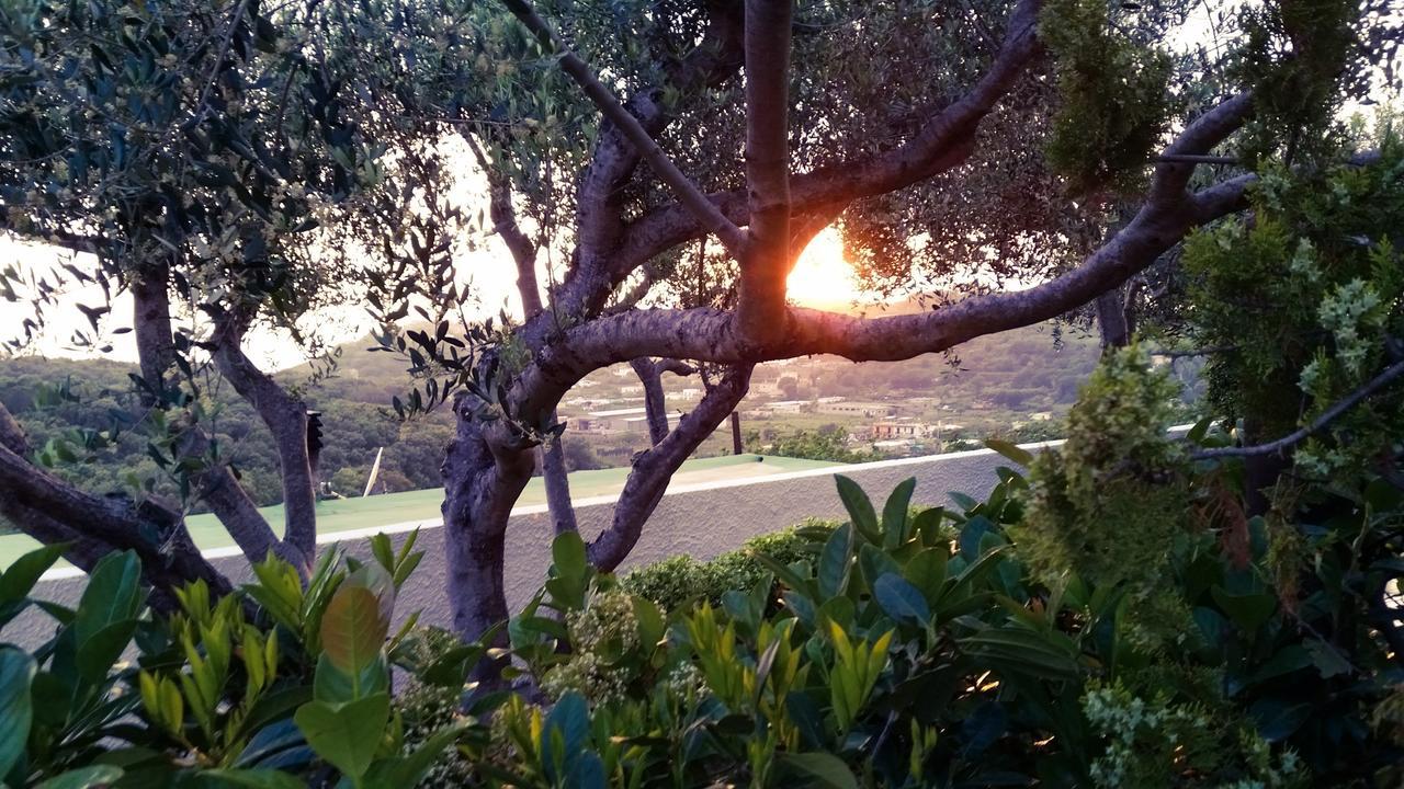 Appartamenti Luongo Forio di Ischia Exterior foto
